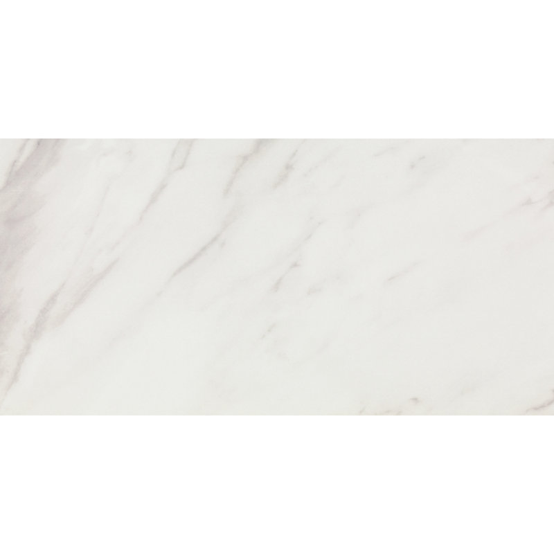 Carrelage 12 x 24 Daltile Artsy (9 pièces par carton) (17,01 pieds carrés par carton), Artsy Studio Carrara 12 x 24