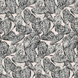 Bull’s Bay Oysters Dune Veil Wallpaper by Megan Molten