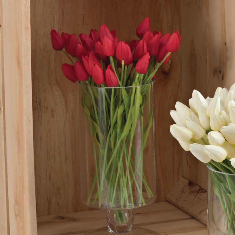 Tiges de tulipe petite, Rouge