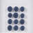 Indigo Shells Framed Sea Urchin Shadow Box Wall Décor