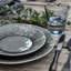 Set of 6 Madeira Stoneware Dinner Plates-691030160
