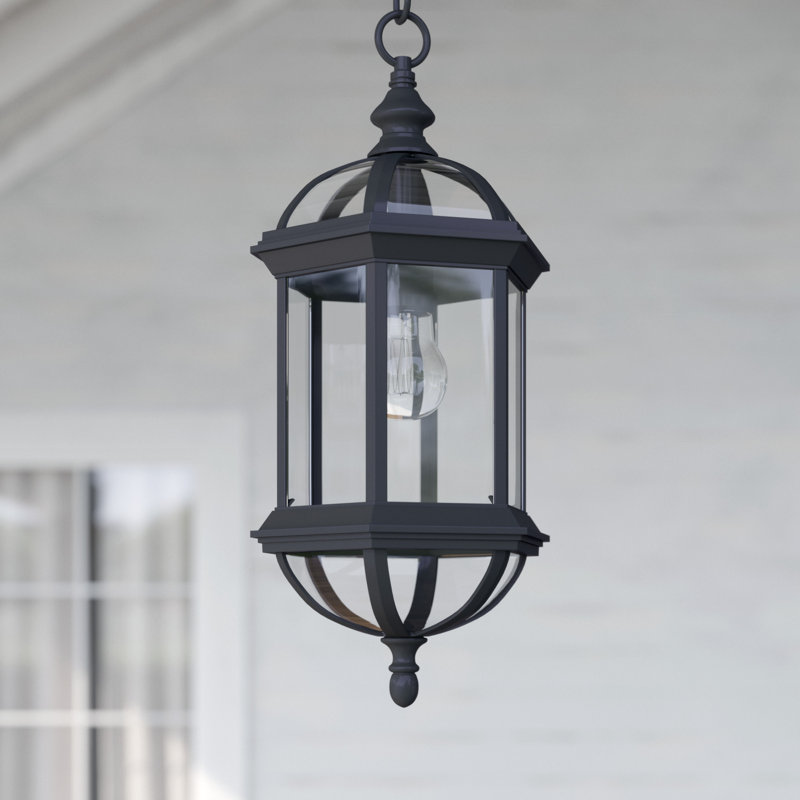 Affric 1 -Bulb 18" H Outdoor Hanging Lantern in Textured Black, Textured Black