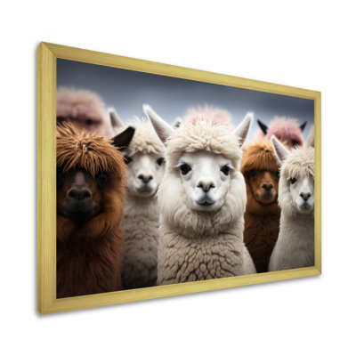 Alpacas Graceful Fibers - Imprimé