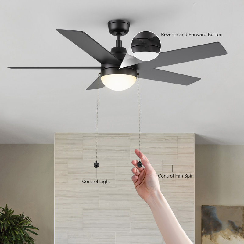 Johnye 52'' Ceiling Fan with LED Lights, Black