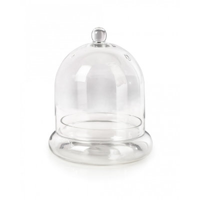 Hantsport Glass Terrarium