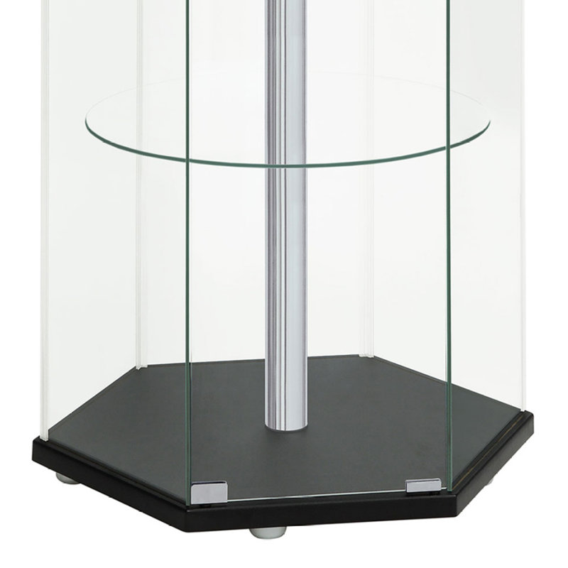 Zahavah 4-shelf Hexagonal Clear Glass Curio Cabinet, Black
