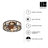 19.7'' Ceiling Fan with Light Kit-100266698