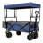 Collapsible Foldable Wagon With Canopy