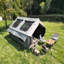 Tentes de camping-111122207