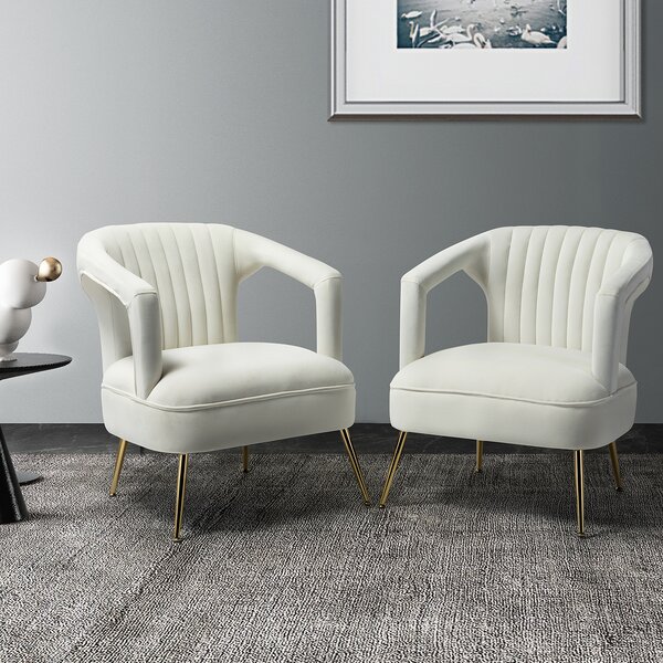 Etta Avenue™ Ayla Velvet Barrel Chair & Reviews | Wayfair