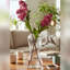 Kagan - Vase Vega - transparent