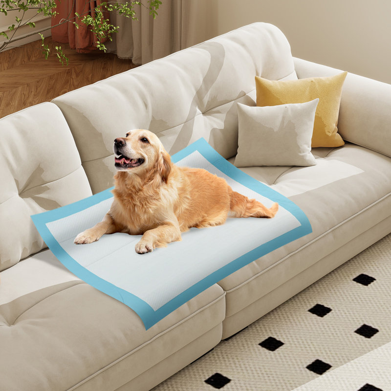 36''x 36''(100 Counts) Dog Potty Training Pads Puppy Pee Pads w/ Quick-Drying