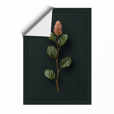 Study In Terracotta Botanical - Print