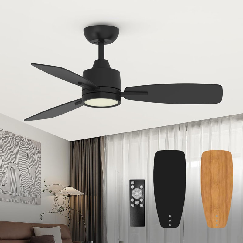 Emidia 42 inch Standard Ceiling Fan with LED Lights Indoor, Black, 42"