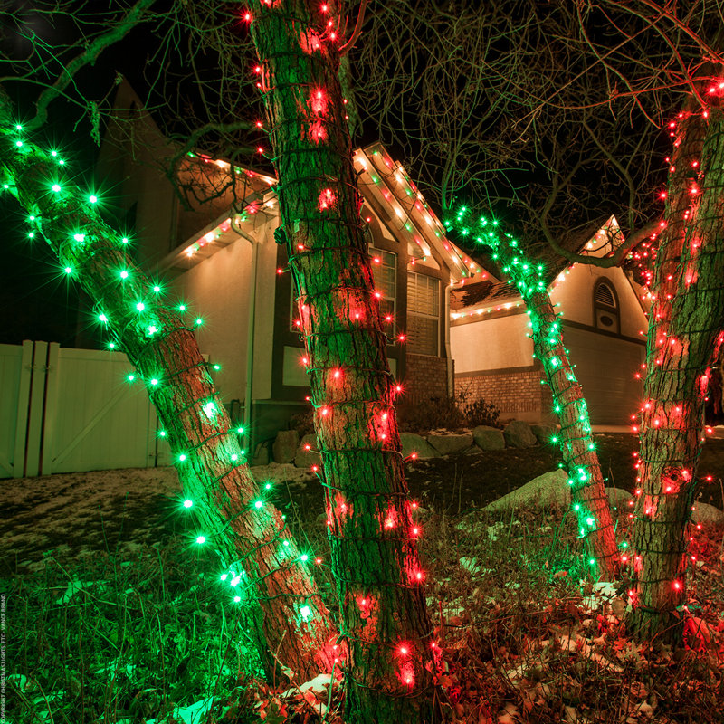 Halloween 70 Light LED String Light, Green