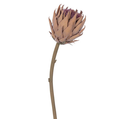 Stem