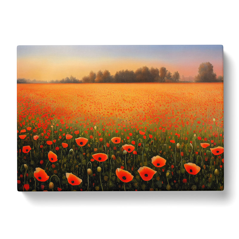 Pretty Poppy Field Flowers - Wrapped Canvas, 50cm H x 76cm W x 3cm D