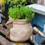 Pot à fleurs en béton Claxten-1430600999
