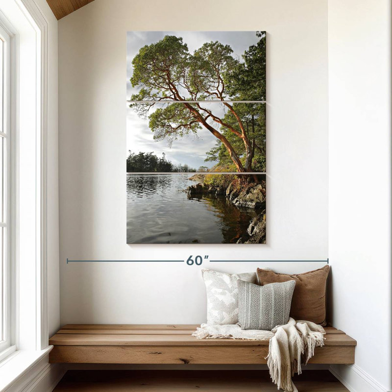 Arbousier Harnek au bord de l'eau, H 50 po x l 32 po