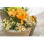 Pot à fleurs intérieur / extérieur auto-arrosant-17023417-17049372