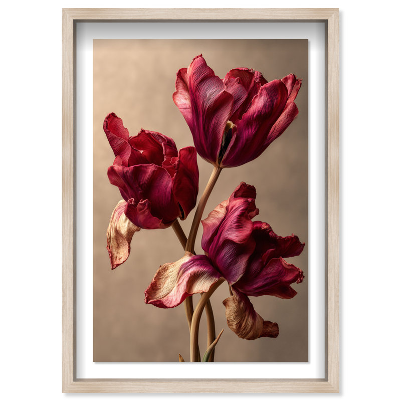 Dark Silk Remains Print by Oliver Gal, 31.5"H x 46.5"W, Natural Oak Shadowbox