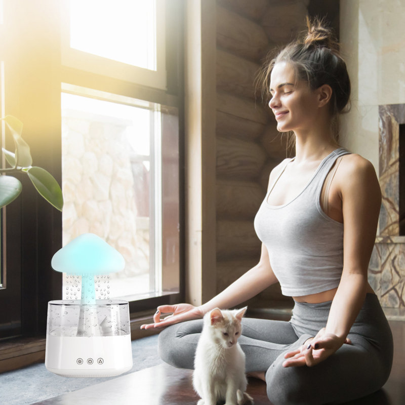 Combo humidificateur de nuage et veilleuse, avec aromathérapie et bruit blanc pour un meilleur sommeil