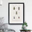 Beetle Illustrations PL.8 by Charles D'Orbigny - Single Picture Frame Print-55543857-55543860