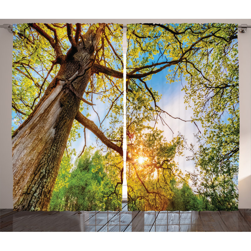 Colan Nature Lights Above Oaks Semi-Sheer Rod Pocket Curtain Panels, 54" W x 84" L