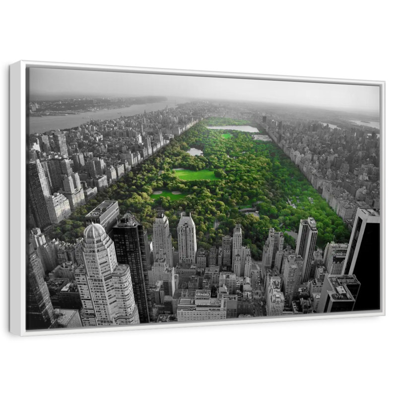 Central Park Pop, Floating Frame White, 46" X 31"