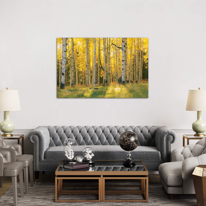 Aspen Trees In A Forest, Coconino National Forest, Arizona, Usa by Panoramic Images - Wrapped Canvas Print