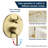 All-In-One Kit with Rough in-Valve