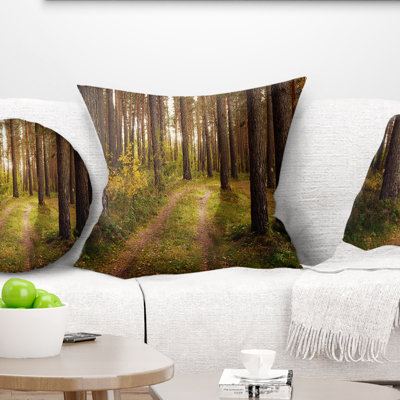 Route à travers la forêt d'automne épaisse - Coussin imprimé forêt