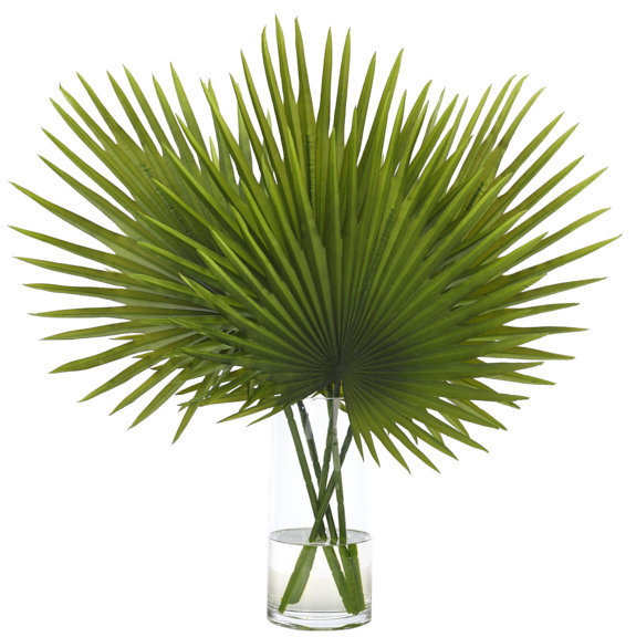 Fan Palm, Green, Glass Cylinder, 27wx22dx29d
