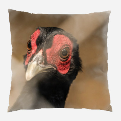 Reversible Throw Pillow