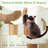 48" Tall Wooden Cat Tree