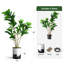 Arbre artificiel en pot moderne Ficus Lyrata-97704305-138916974