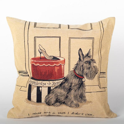 Coussin 18 po x 18 po