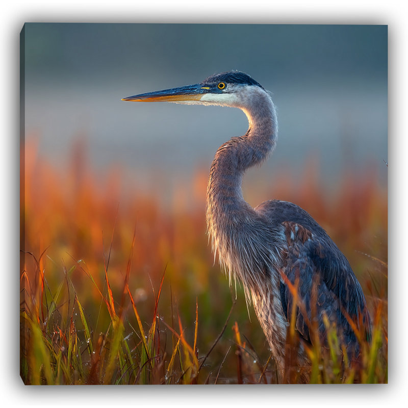 Sunlit Reef Heron - Art mural sur toile tendue