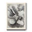 Subtil Glam - impression encadrée sur papier-940802740-940802726
