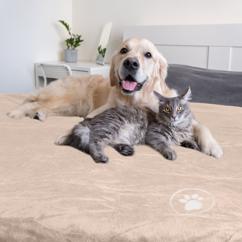 Couverture pour chien PETMAker résistante à l'eau - couverture en sherpa réversible de 60 x 80 pouces pour lit, canapé, caisse ou voiture - Protection contre les taches, les déversements, les accidents et la fourrure d'animaux - Lavable à la machine
