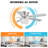 Caenas 52'' Ceiling Fan with Light Kit
