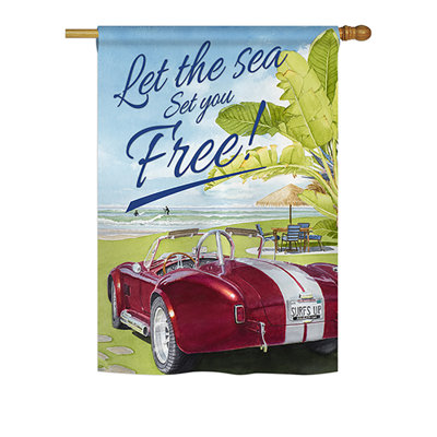 Double Sided 40'' H x 28'' W Polyester House Flag