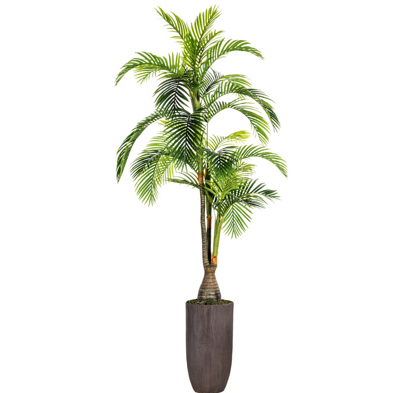 Panama en pot, H 100,25 po x l 58 po x P 51 po
