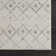 Dounia Transitional Performance Beige Area Rug