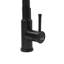 Belfry Kitchen Catawba Pull Down Kitchen Faucet-149007721