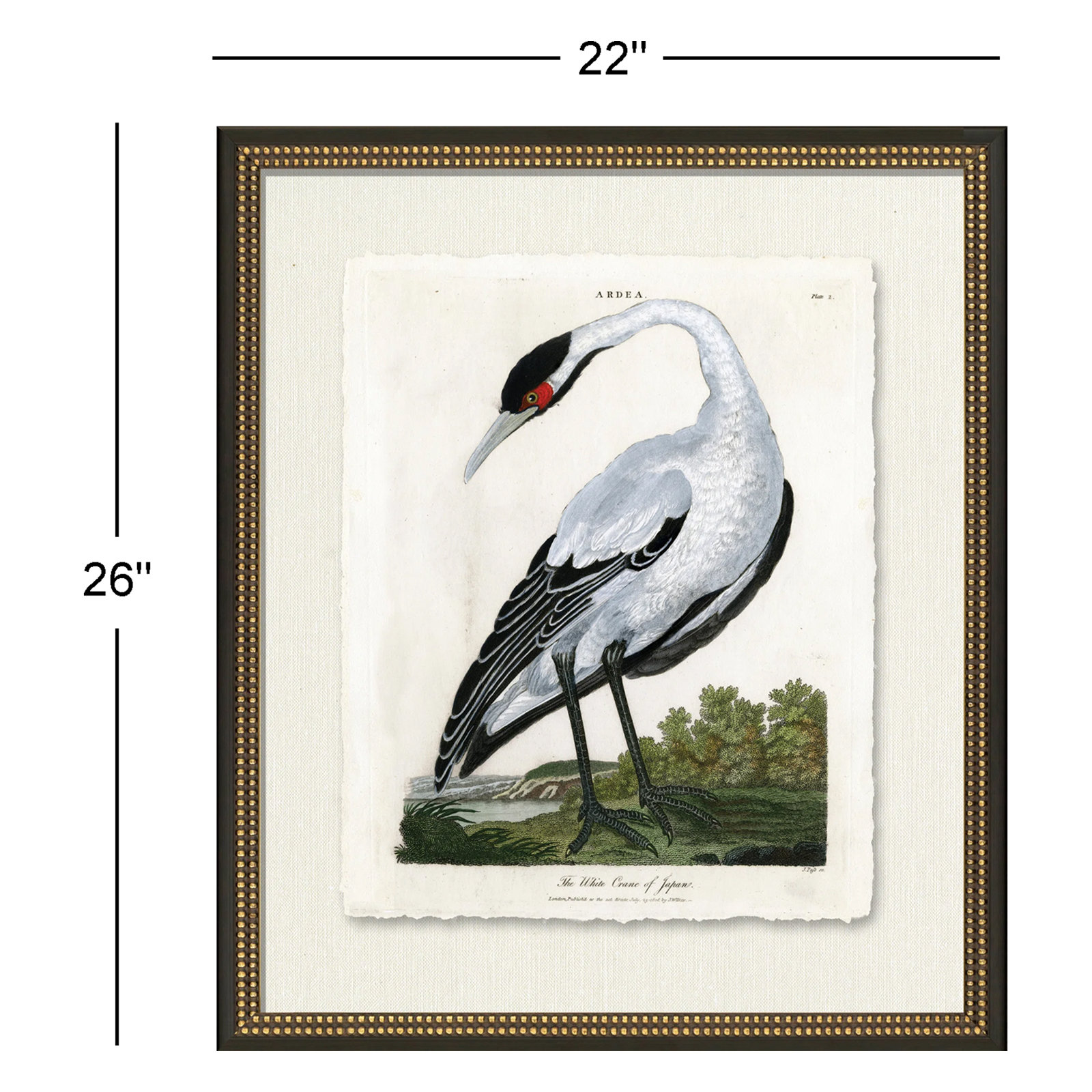 Medium White Crane