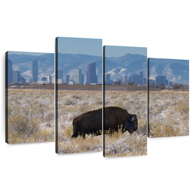 Brampt Denver Bison, 22" H x 36" W