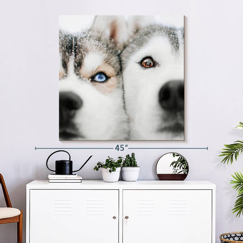 Crowle Husky Faces, 33" H x 33" W