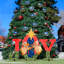 Joy Angel Yard Lawn Art