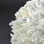Genuine Garden Quartz Crystal Cluster from Brazil (13 Lbs)